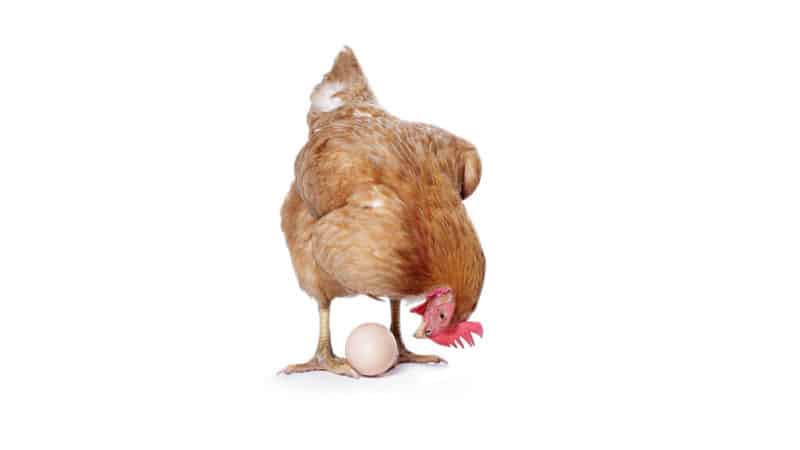 Industrie 4.0: ein Henne-Ei-Phänomen – wie geht man damit um?